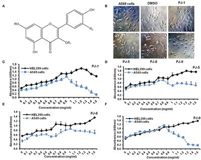 Selective Regulation of B-Raf Dependent K-Ras/Mitogen-Activated Protein by Natural Occurring Multi-kinase Inhibitors in Cancer Cells